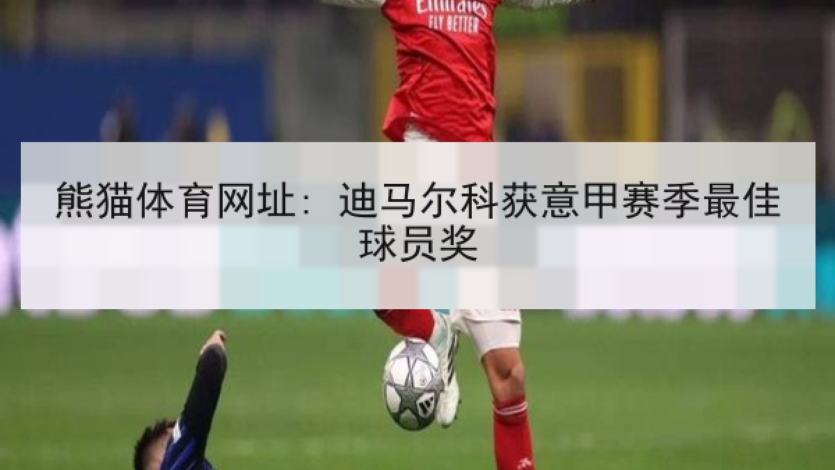 熊猫体育网址: 迪马尔科获意甲赛季最佳球员奖