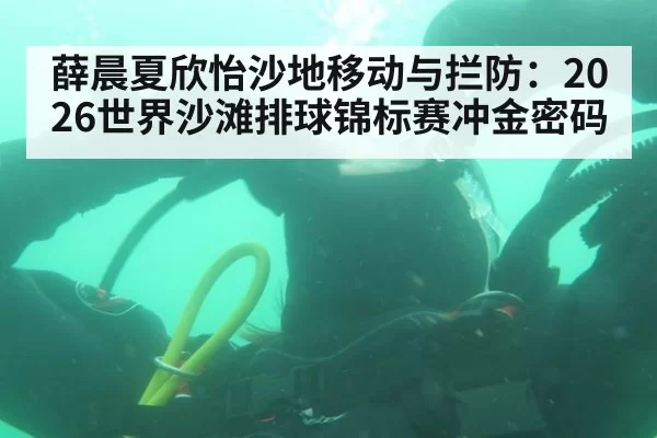 薛晨夏欣怡沙地移动与拦防：2026世界沙滩排球锦标赛冲金密码